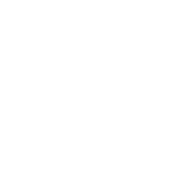 Sania Ceramic Logo